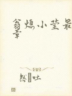 翁熄小莹最新节章