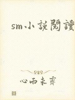 sm小说阅读封面