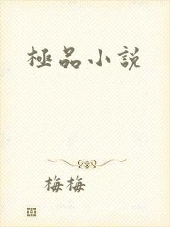 极品小说