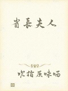 省长夫人