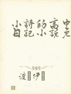 小诗的高中成长日记小说免费阅读