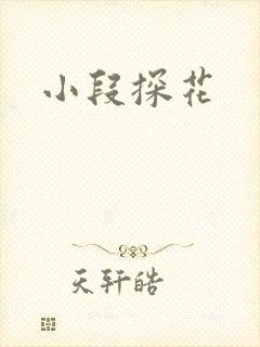 小段探花