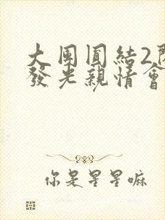 大团圆结2闪闪发光亲情会封面