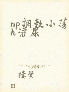 np调教小荡货h灌尿