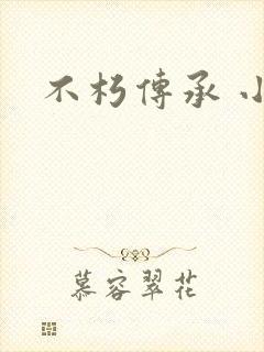 不朽传承 小说封面