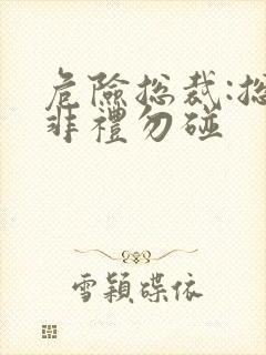 危险总裁:总裁非礼勿碰
