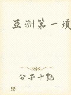 亚洲第一坟封面