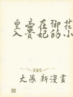 皇帝在御花园进入贵妃的小说封面