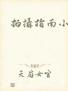 拍摄指南小说