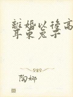 离婚以后高干 耳东兔子封面