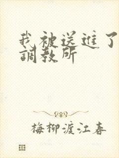 我被送进了私奴调教所