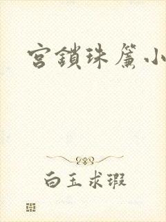 宫锁珠帘小说
