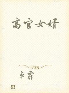高官女婿
