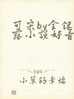 可宋by金银花露小说好看吗
