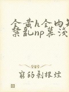 全黄h全肉短篇禁乱np慕浅浅