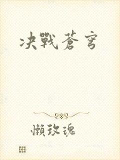 决战苍穹封面