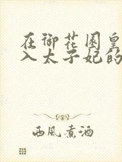 在御花园皇上进入太子妃的小说封面