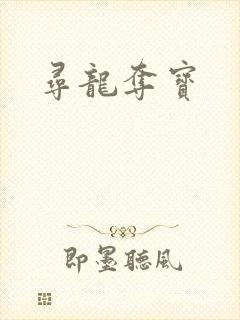 寻龙夺宝