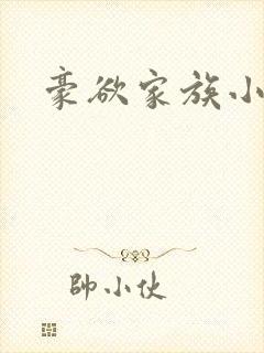 豪欲家族小说