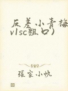 反差小青梅(1v1sc粗口)