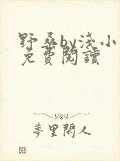 野桑by浅小说免费阅读