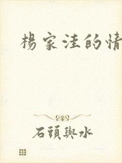 杨家洼的情事封面