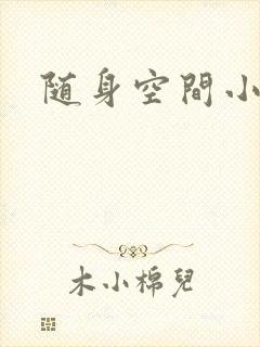 随身空间小说