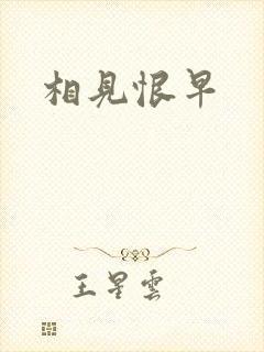 相见恨早封面