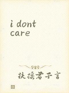 i dont care封面