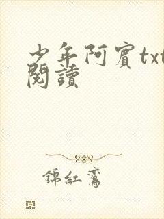 少年阿宾txt阅读封面