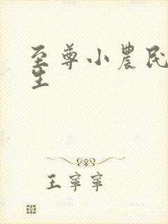 至尊小农民王木生