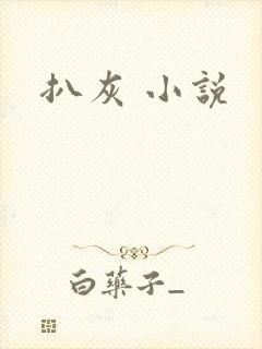 扒灰 小说