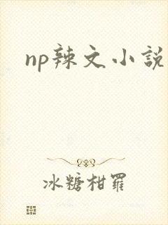 np辣文小说封面