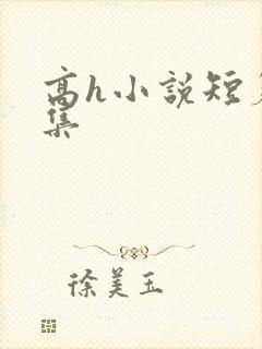 高h小说短篇合集