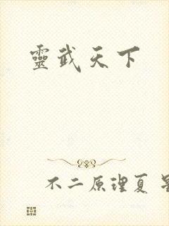 灵武天下