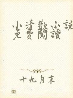 小清欢小说全文免费阅读