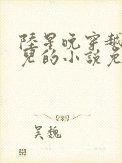 陆星晚穿越成婴儿的小说免费阅读全文