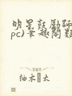 明星鼓励师(npc)笔趣阁类似