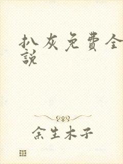扒灰免费全本小说封面