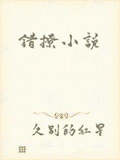 错撩小说