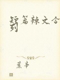 短篇辣文合集系列
