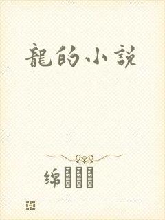 龙的小说
