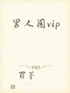 男人团vip封面