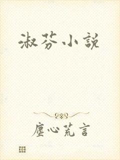 淑芬小说封面