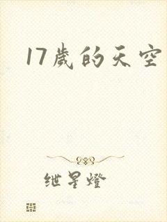17岁的天空