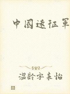 中国远征军小说