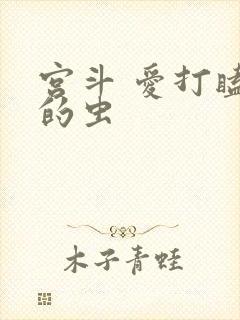宫斗 爱打瞌睡的虫