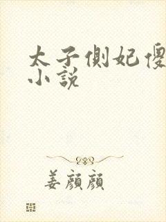 太子侧妃傻乎乎小说