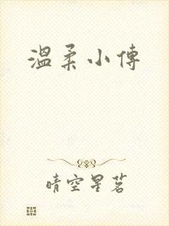 温柔小传封面