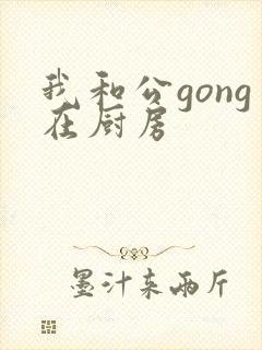 我和公gong在厨房封面